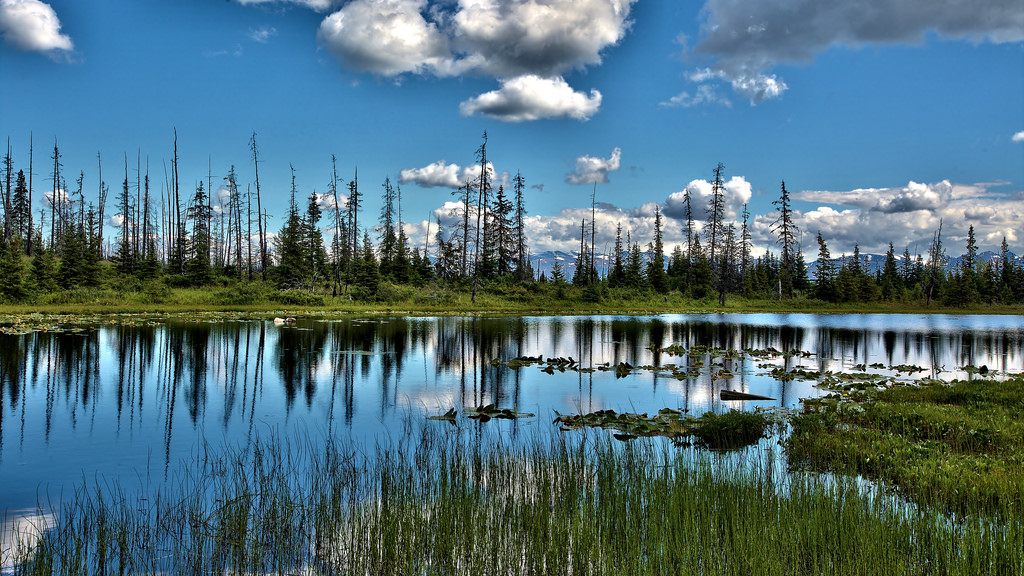 Enjoy the Arctic National Park
