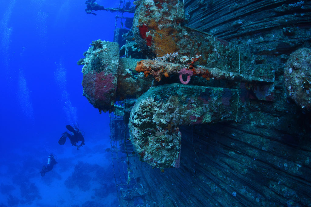 Salem Express Shipwreck, Red Sea, Egypt