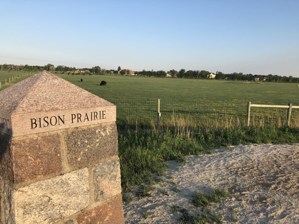 Bison trail, Manitoba