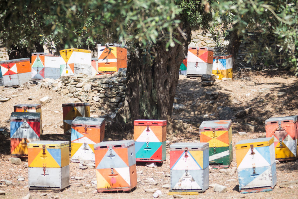 Beehive of Thasos