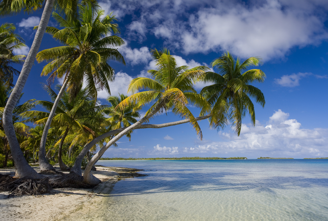 Tropical paradise