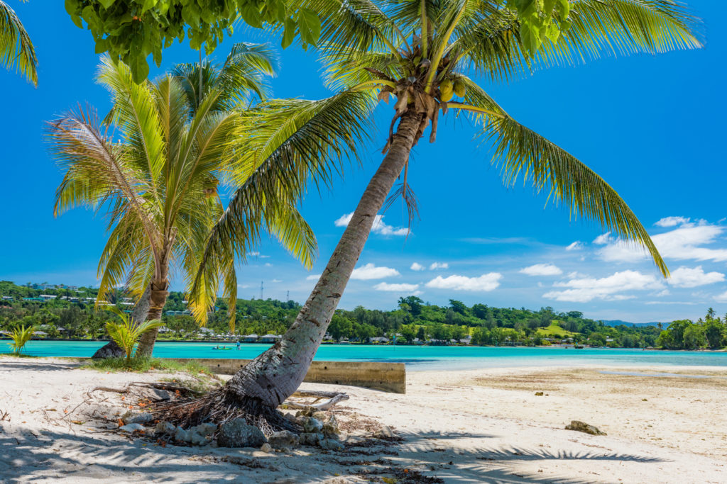 Tropical Beaches