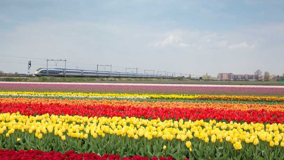Eurostar-Amsterdam