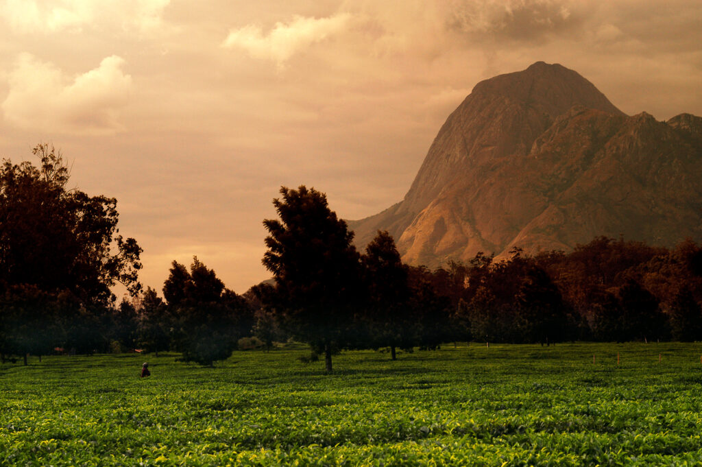 The beautiful countryside Malawi