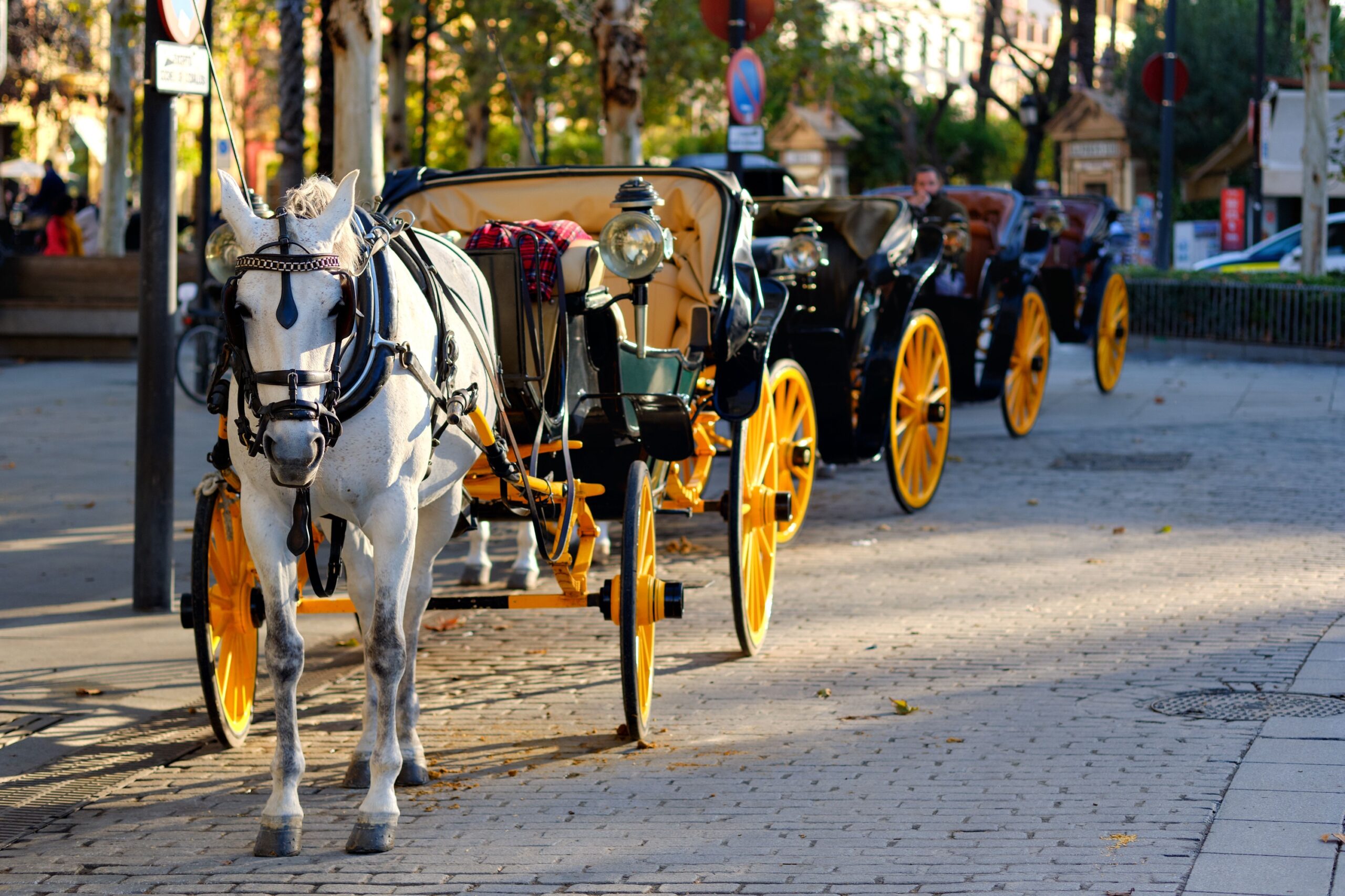 Magical Seville and its Horse Drawn Carriages